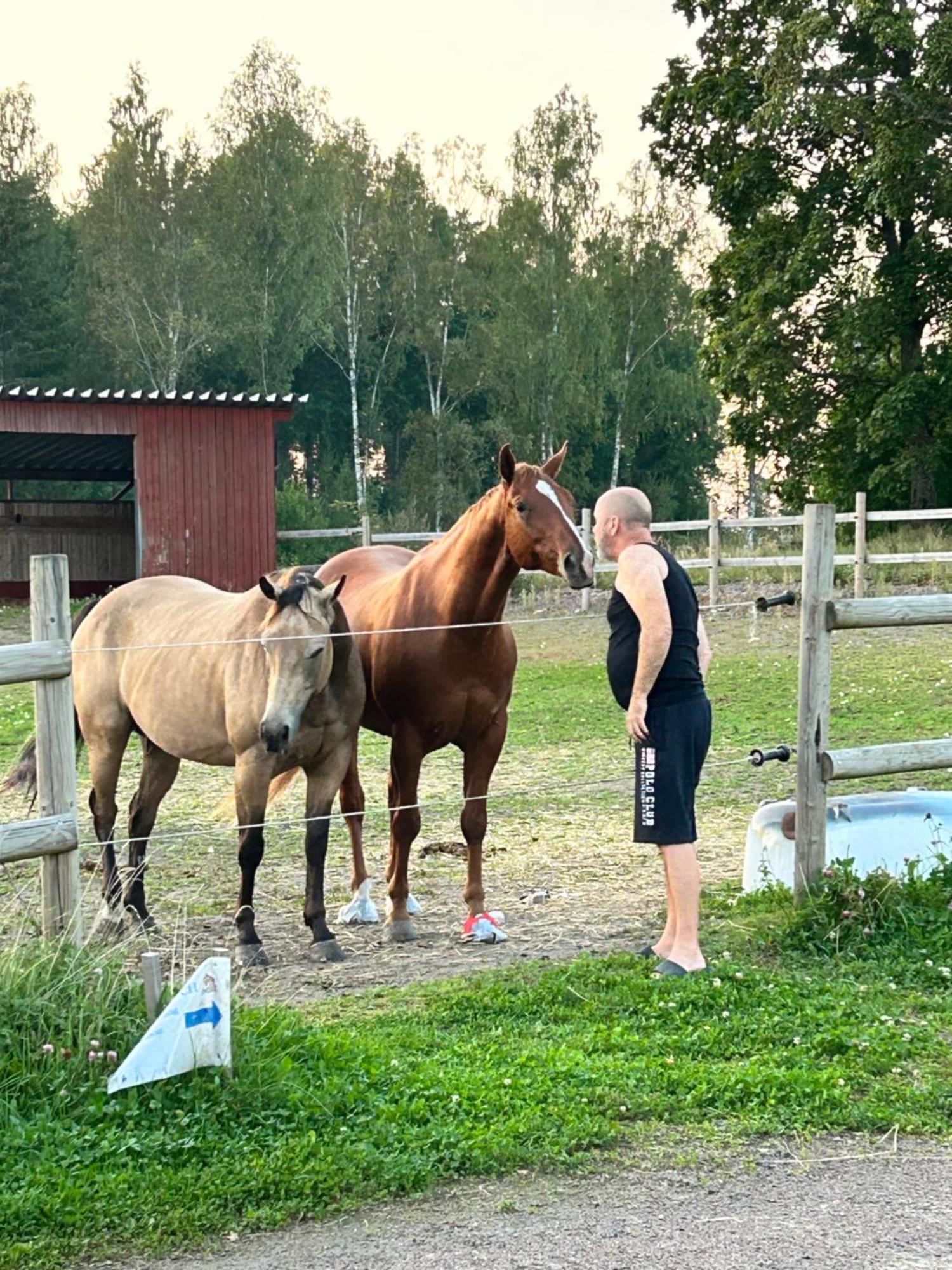 Ulvsby Ranch Western Camp คาร์ลสตัด ภายนอก รูปภาพ