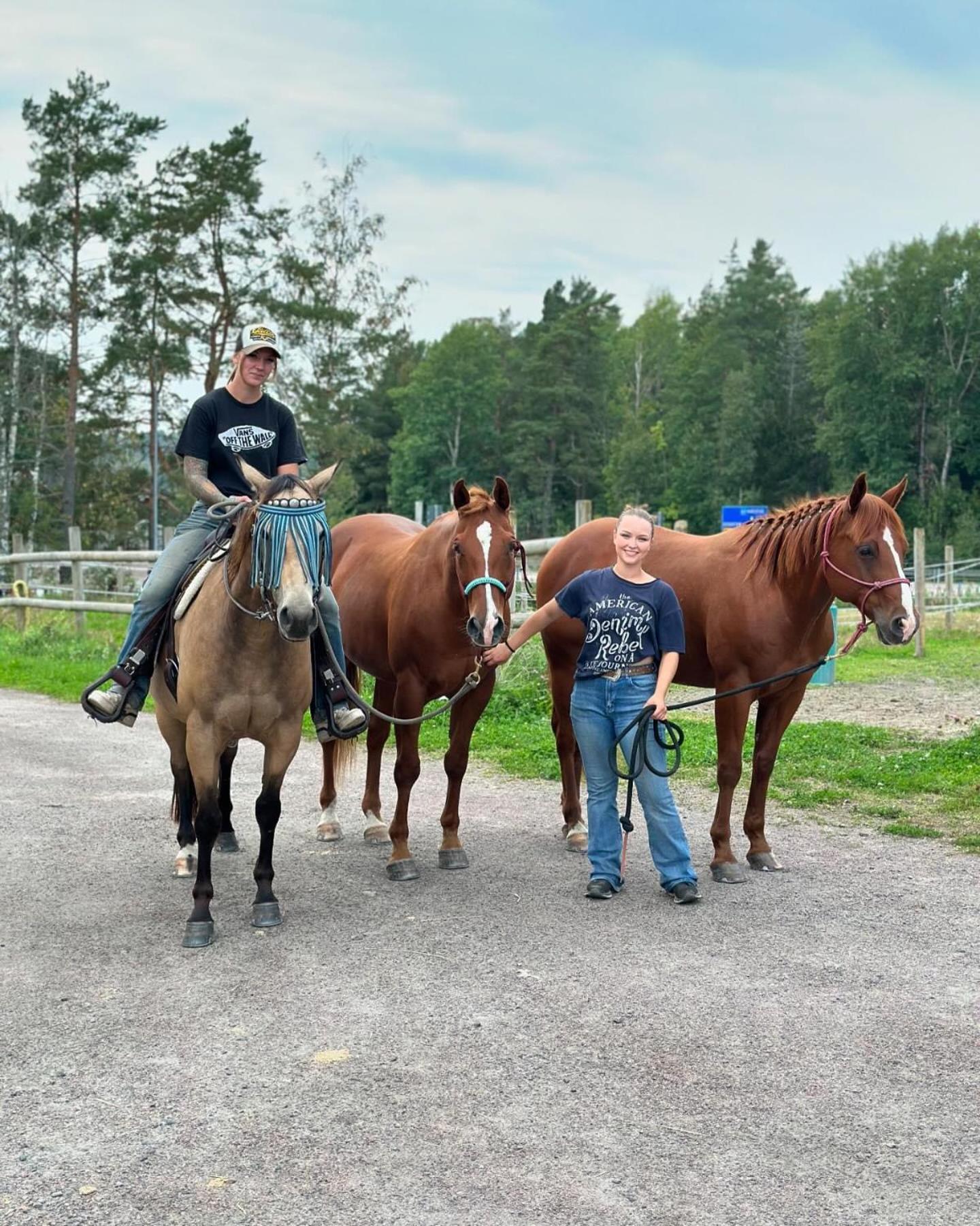 Ulvsby Ranch Western Camp คาร์ลสตัด ภายนอก รูปภาพ